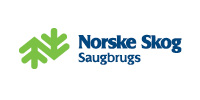 logo_3 Pion, grafisk design, Norske Skog, Anette Lillestrand, design av nettsider, nettbutikk, rimelig nettbutikk