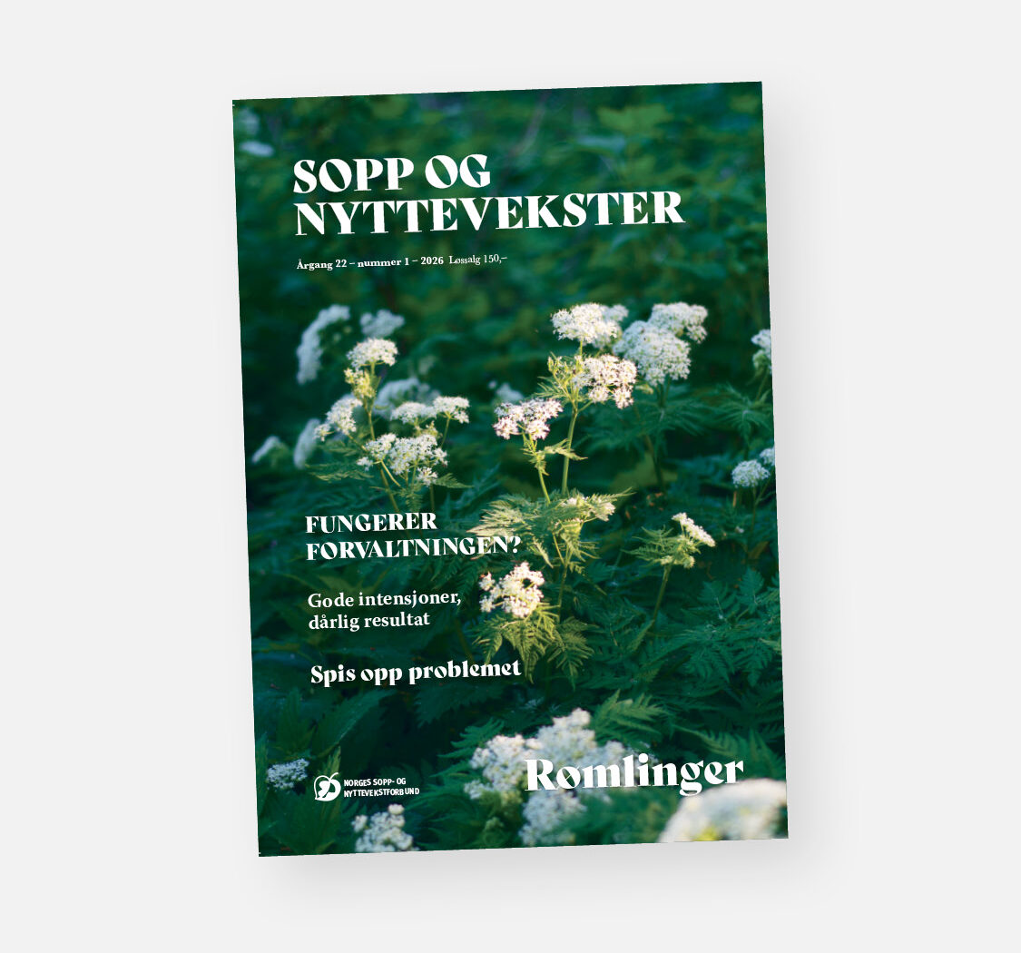 Forsiden av bladet Sopp og nyttevekster. Nr. 1, 2026. Foto: Anette Schive.