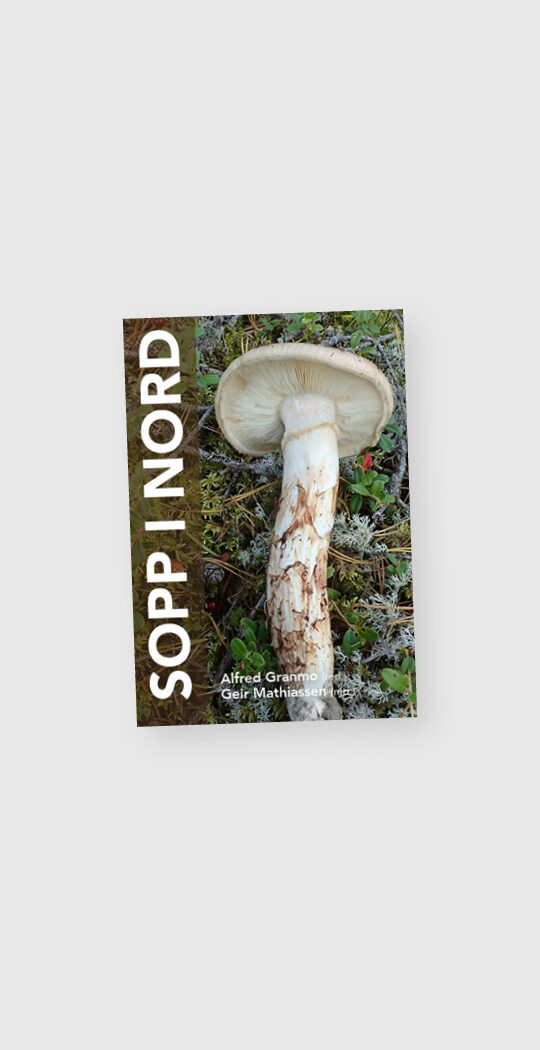 Sopp i nord. Grafisk design bok. Soppbok. Anette Lillestrand.