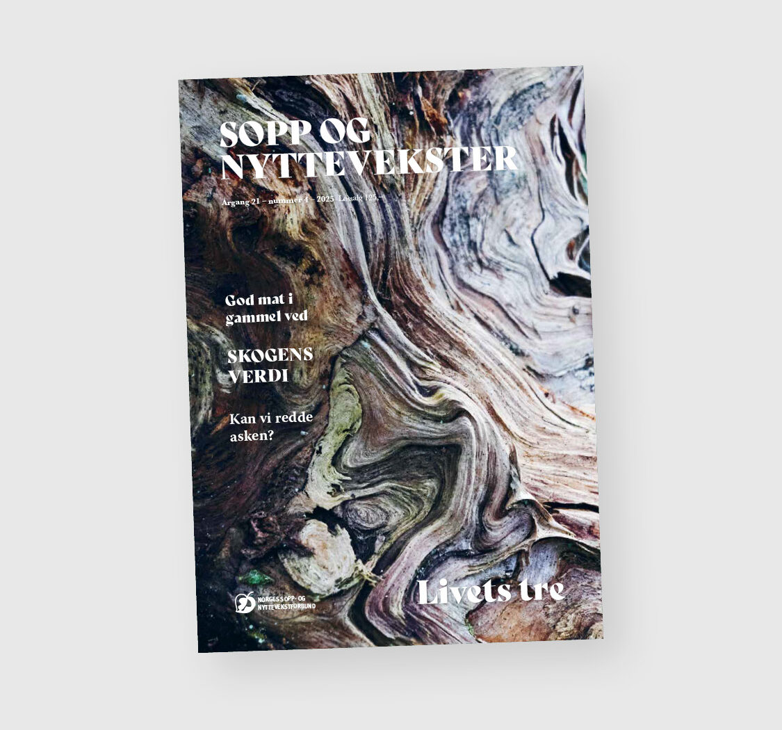 Sopp og nyttevekster.